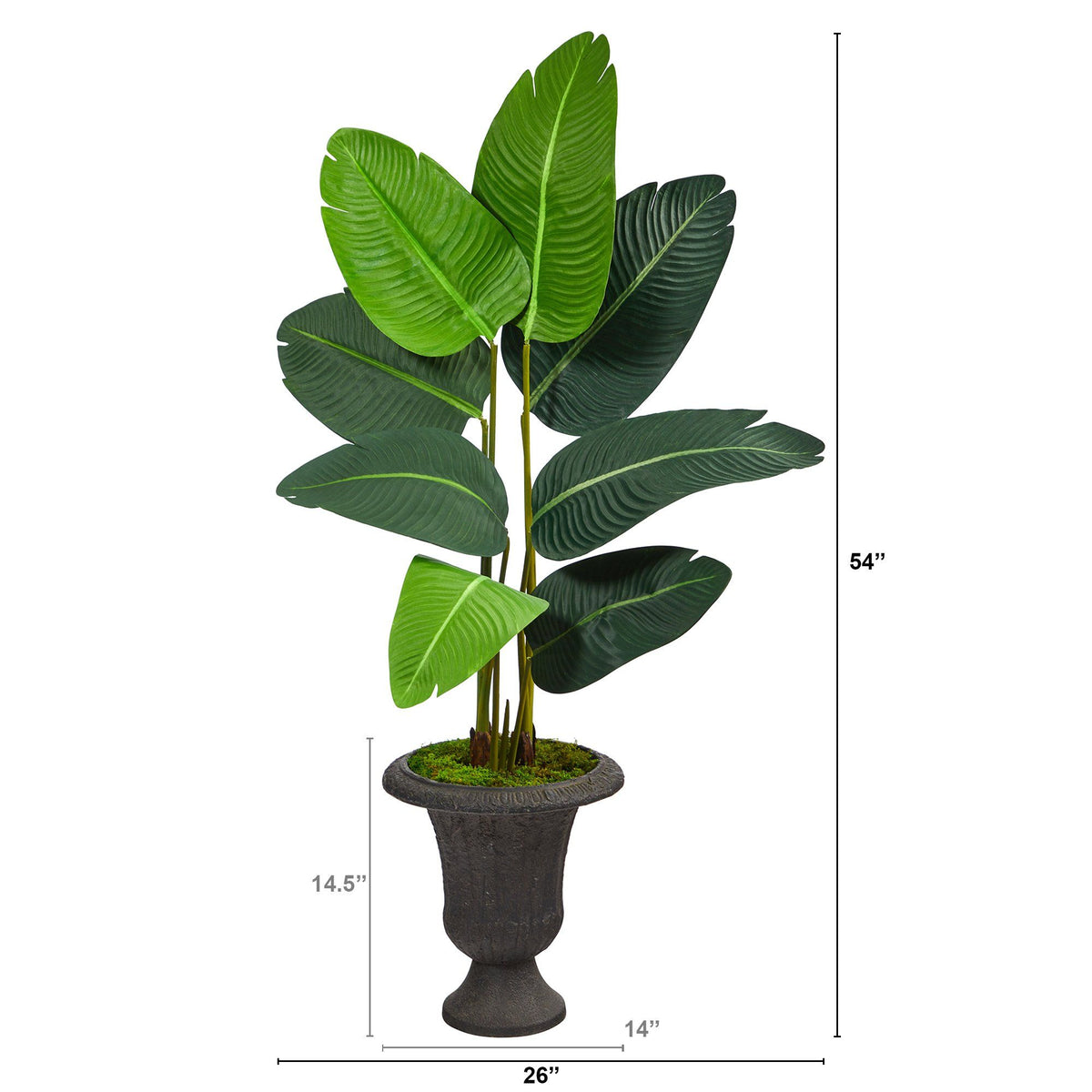 4.5’ Traveler's Palm Artificial Tree in Charcoal Urn