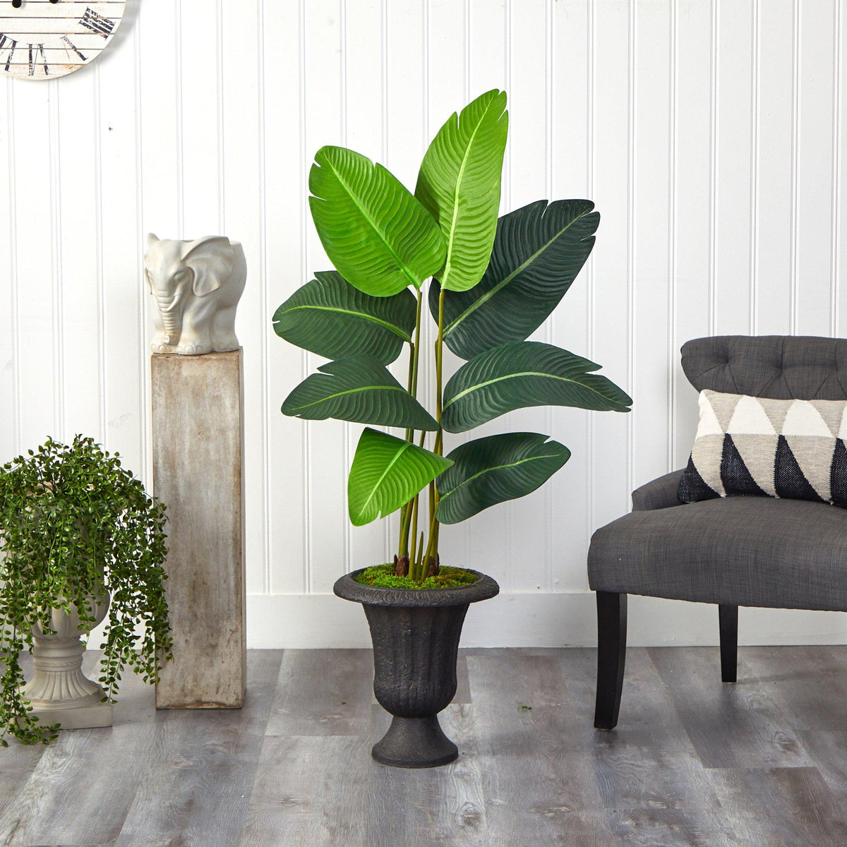 4.5’ Traveler's Palm Artificial Tree in Charcoal Urn