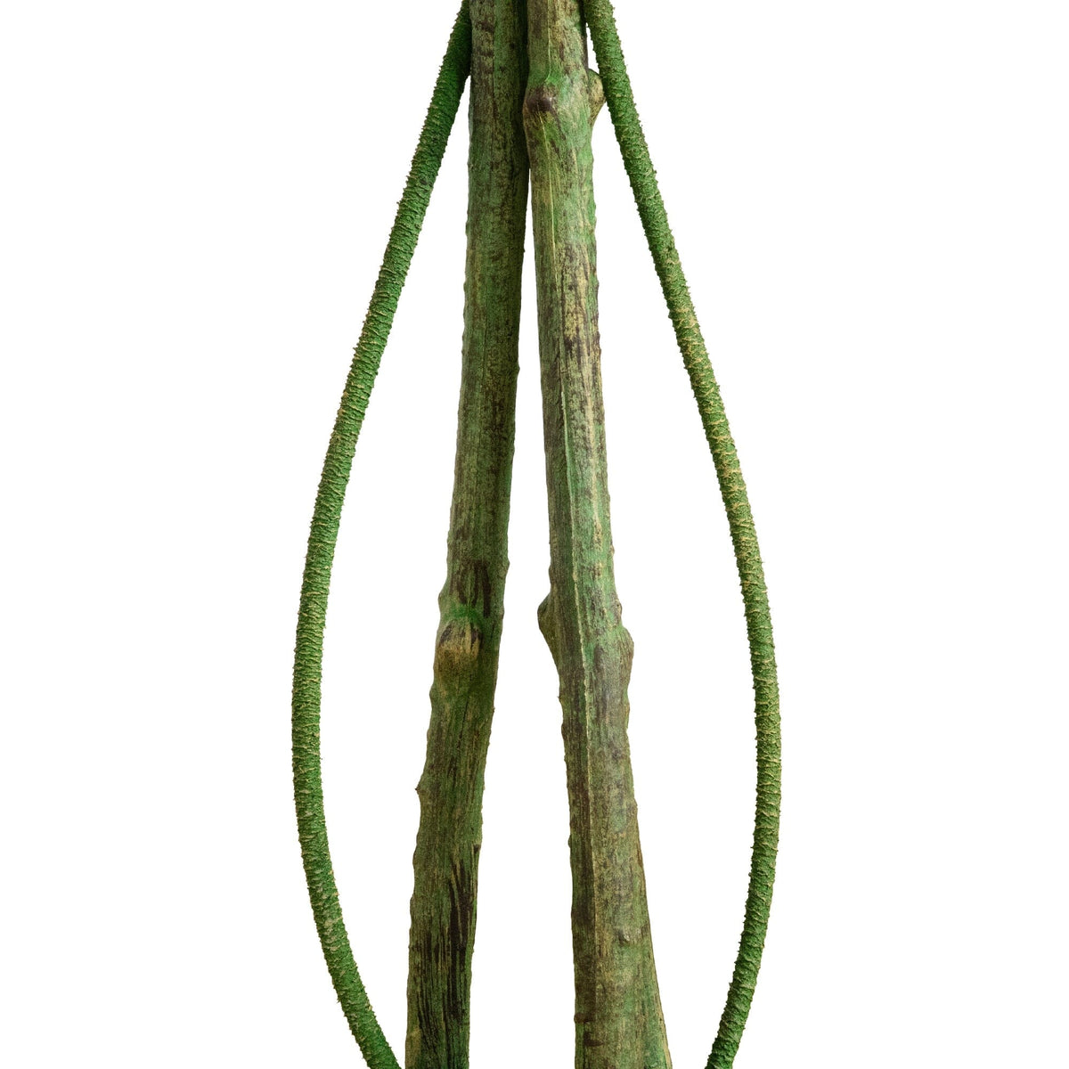 4.5-ft UV Resistant Artificial Ficus Tree (Indoor/Outdoor)
