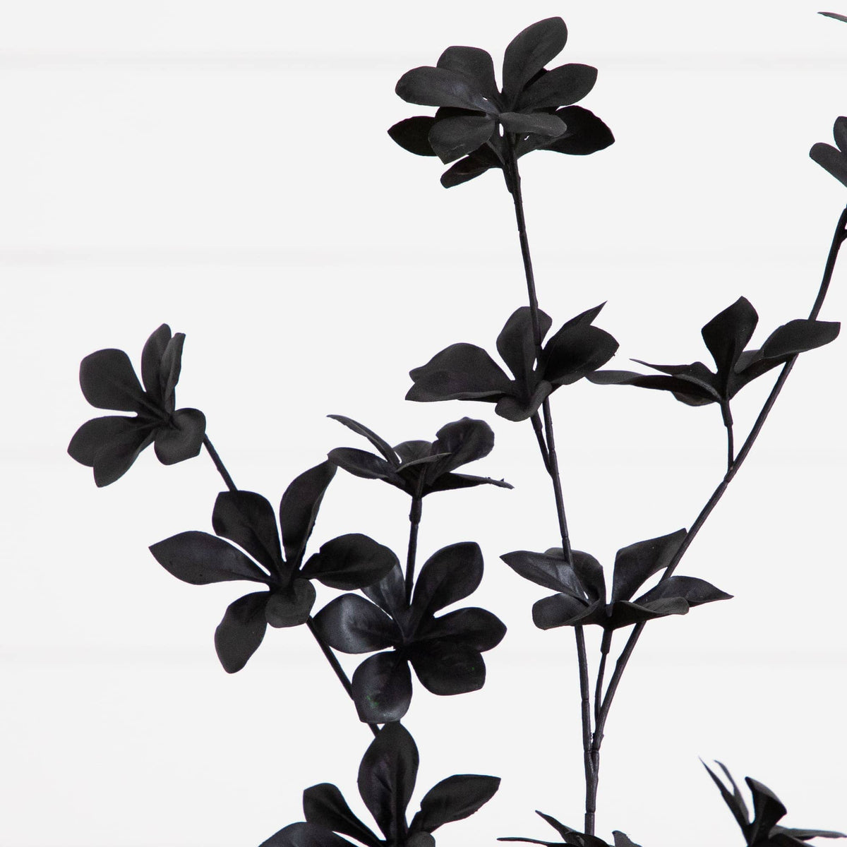 4' Artificial Halloween Black Enkianthus Tree