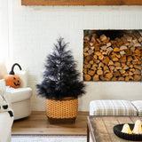 4' Artificial Halloween Black Pampas Grass Christmas Tree