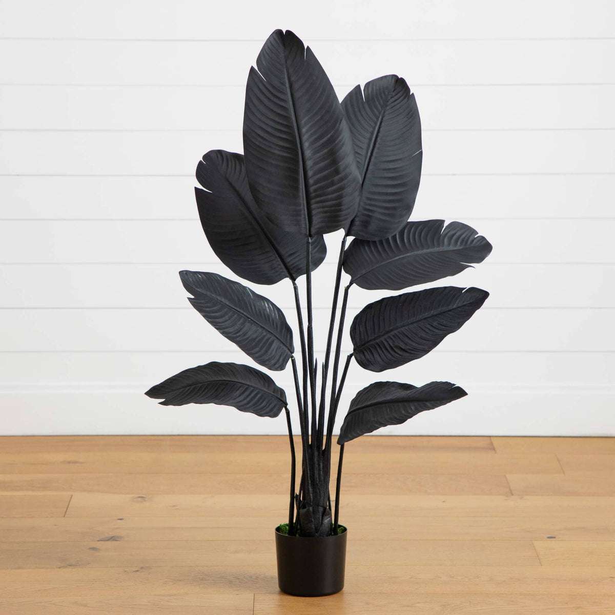 4' Artificial Halloween Black Traveler's Palm Tree