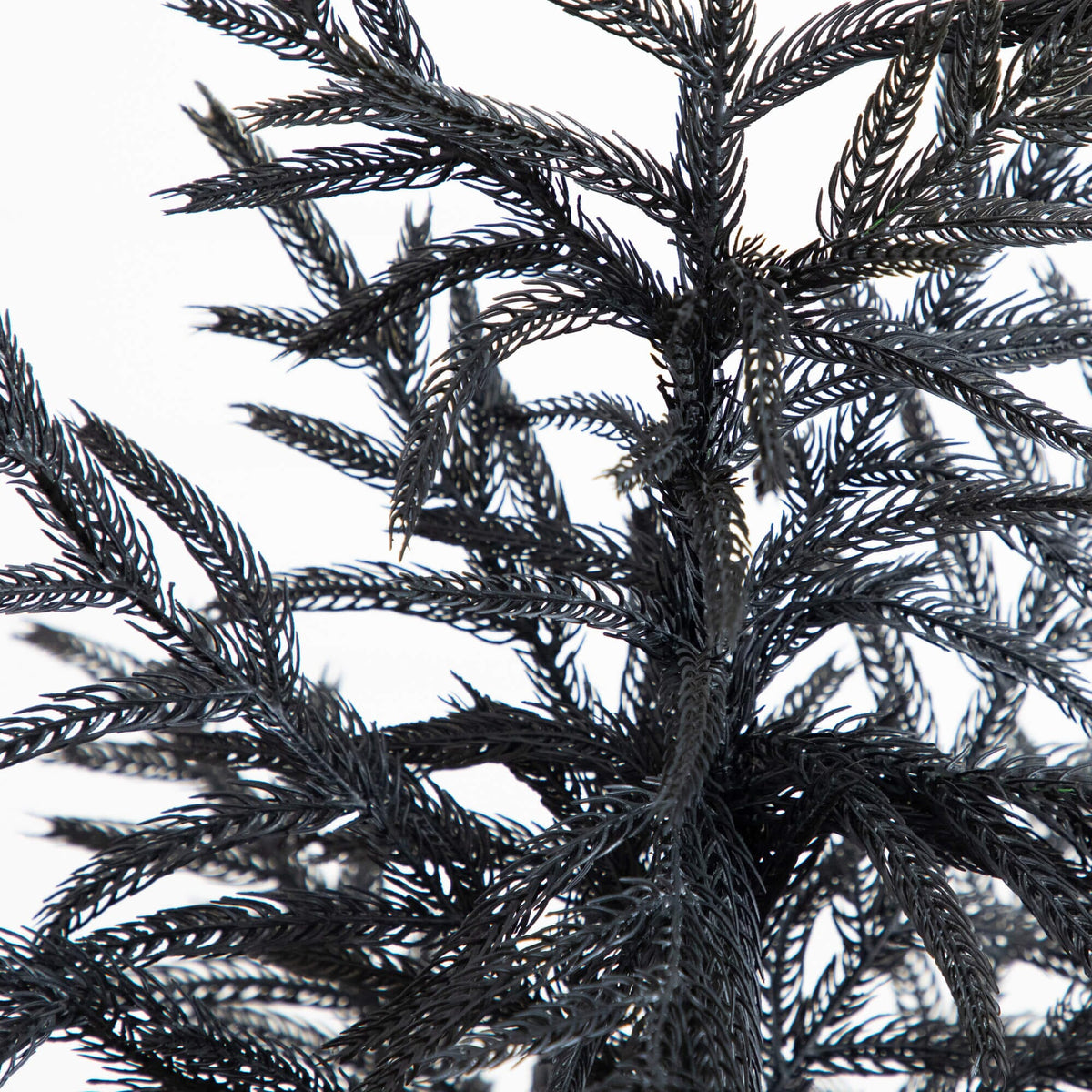 4' Artificial Halloween Real Touch Black Norfolk Pine Christmas Tree with Natural Look