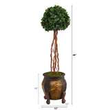 4’ English Ivy Topiary Single Ball Artificial Tree in Decorative Planter  (Indoor/Outdoor)