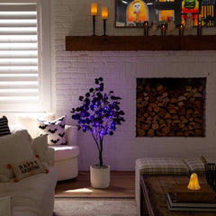 4' Pre-Lit Artificial Halloween Black Eucalyptus Tree with 160 Orange & Purple LED Lights - Ornate Home