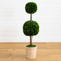 4’ Preserved Boxwood Double Ball Topiary Tree in Planter - Ornate Home