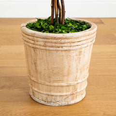 4’ Preserved Boxwood Double Ball Topiary Tree in Planter - Ornate Home