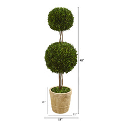 4’ Preserved Boxwood Double Ball Topiary Tree in Planter - Ornate Home