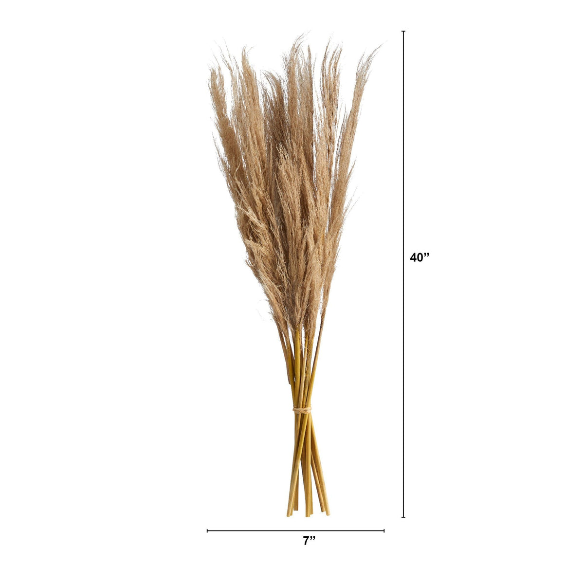 40” Dried Natural Pampass Grass Bundle (Set of 2)