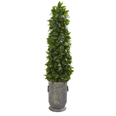 40” Sweet Bay Cone Topiary Artificial Tree  in Vintage Metal Planter - Ornate Home