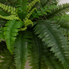 40" UV Resistant Artificial Boston Fern (Indoor/Outdoor) - Set of 2 - Ornate Home