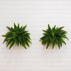 40" UV Resistant Artificial Boston Fern (Indoor/Outdoor) - Set of 2 - Ornate Home