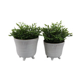 Rexdale Ivory Planters (Set of 2)