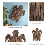 Zanerose Natural Driftwood Turtle Decor