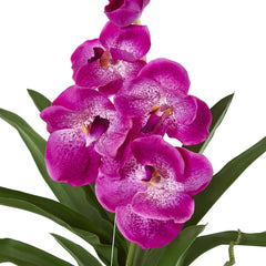 41” Vanda Orchid Hanging Basket Artificial Plant - Ornate Home