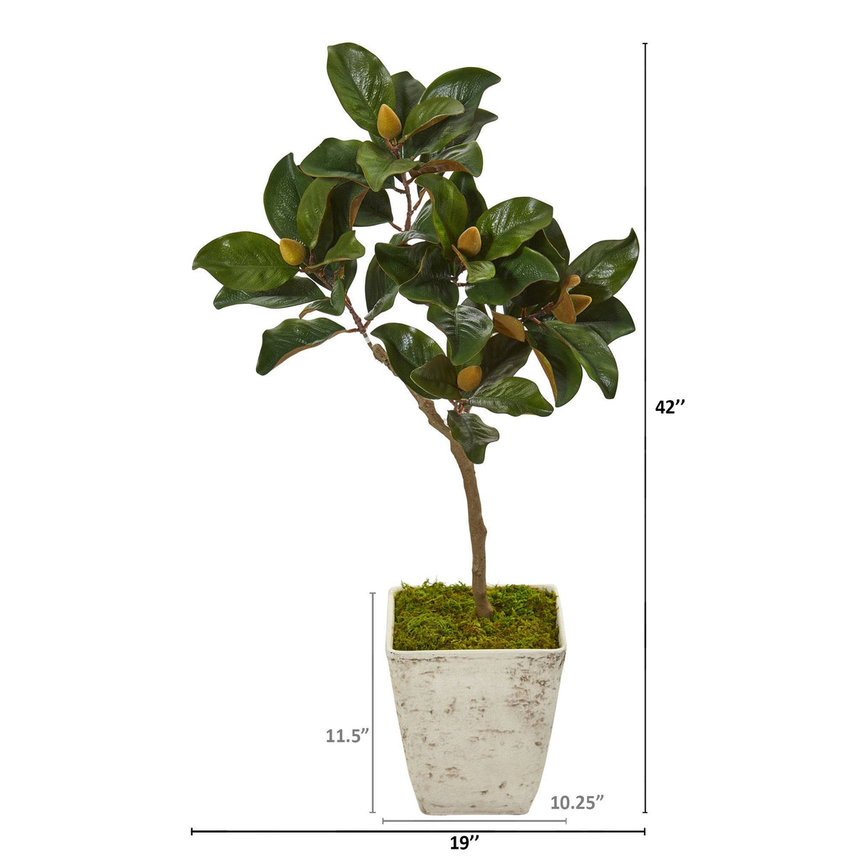 42” Magnolia Leaf Artificial Tree in Country White Planter