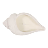 Orcutt White Sea Salt Shell Candle