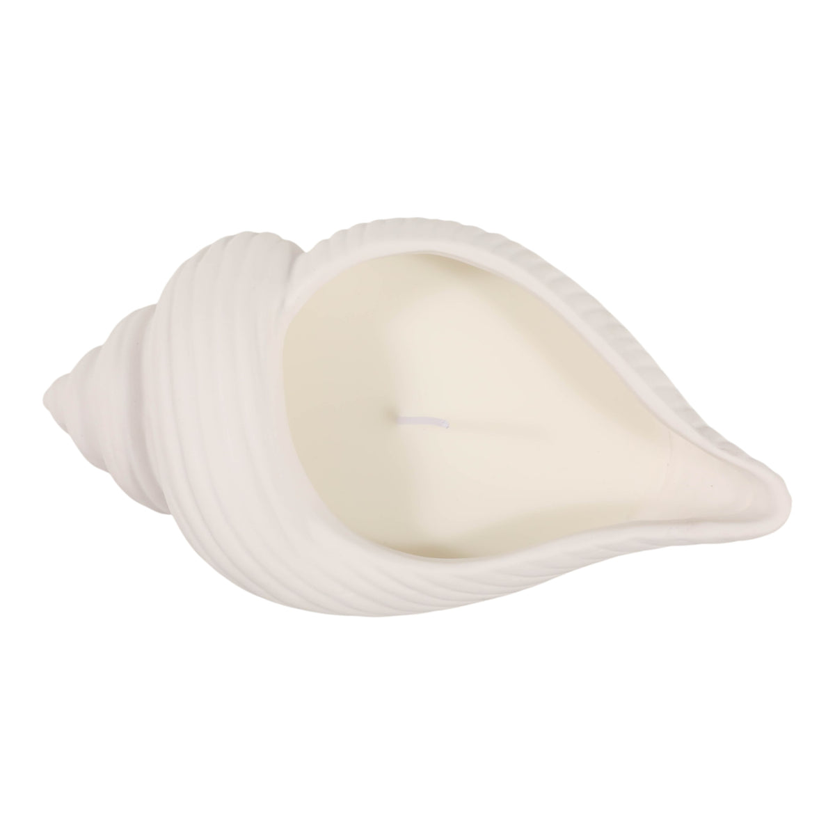 Orcutt White Sea Salt Shell Candle