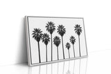 Seven Palms in Perfect Rhythm