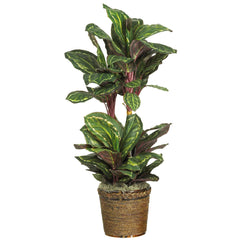45" Maranta Silk Plant" - Ornate Home