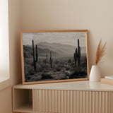 Guardians of the Desert