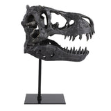 Glasershaw Black Decor