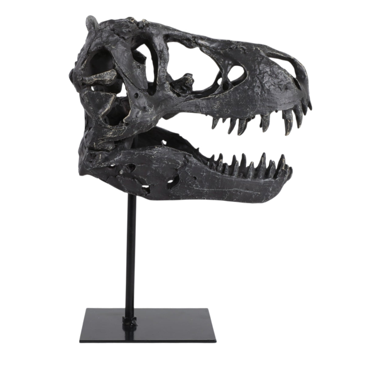 Glasershaw Black Decor