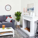 46” Corn Stalk Dracaena Artificial Plant in White Planter with Stand (Real Touch)