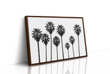 Seven Palms in Perfect Rhythm