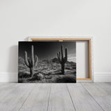 Sentinels of the Sonoran
