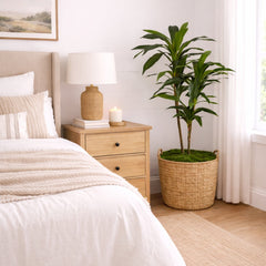 48" Dracaena Silk Plant (Real Touch) - Ornate Home