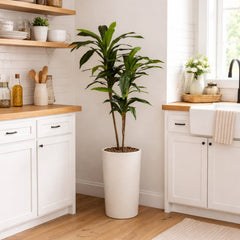 48" Dracaena Silk Plant (Real Touch) - Ornate Home