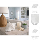 San Anselmo White Conch Shell