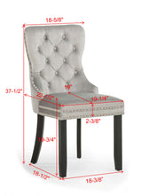 Arabella Light Grey Velvet Accent Chair (Set of 2)