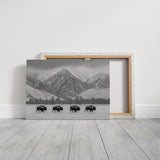 Where the Buffalo Roam