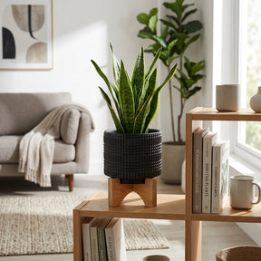 Cowell Black Ceramic Tribal Planter with Stand