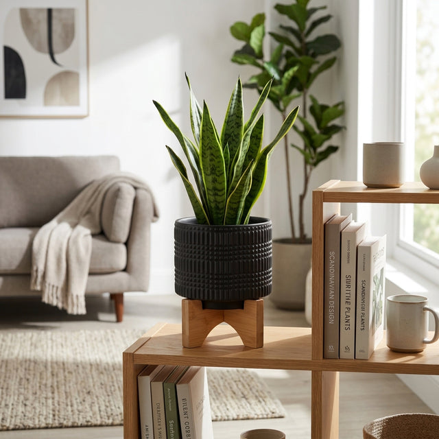 Cowell Black Ceramic Tribal Planter with Stand