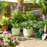 Axelgrove Green Planters (Set of 2)