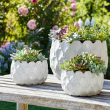 Hazenshaw White Planters (Set of 3)