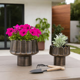 Maxwellshaw Gold Planters (Set of 2)