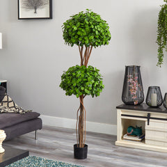 5.5' Eucalyptus Double Ball Topiary Silk Tree - Ornate Home