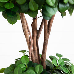 5.5' Eucalyptus Double Ball Topiary Silk Tree - Ornate Home