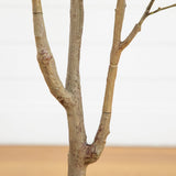 5' Artificial Dogwood Tree