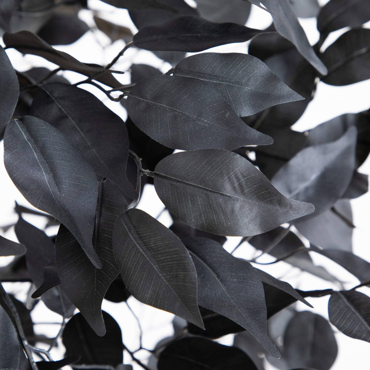 5' Artificial Halloween Black Ficus Tree with Natural Trunk