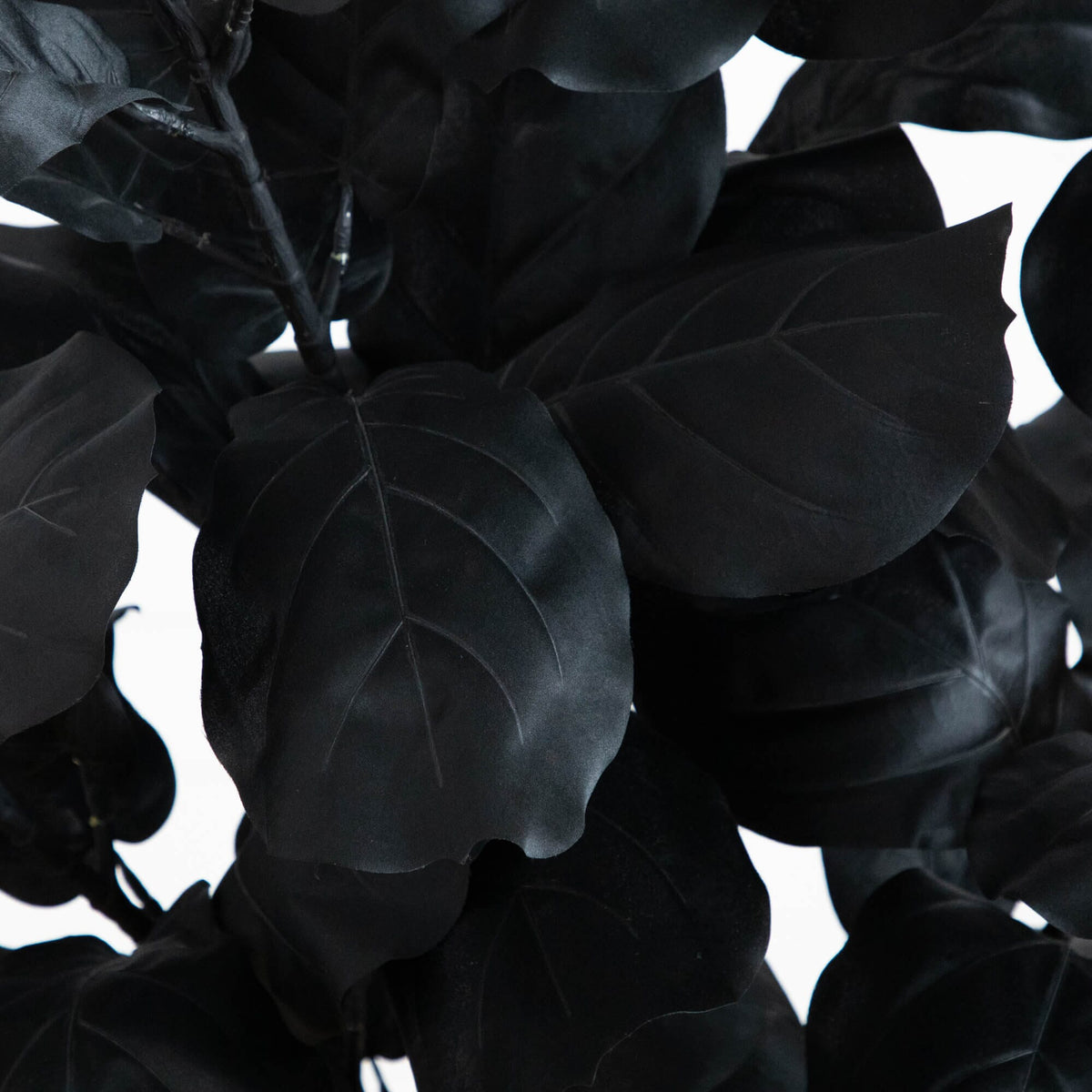 5' Artificial Halloween Black Fiddle Leaf Tree