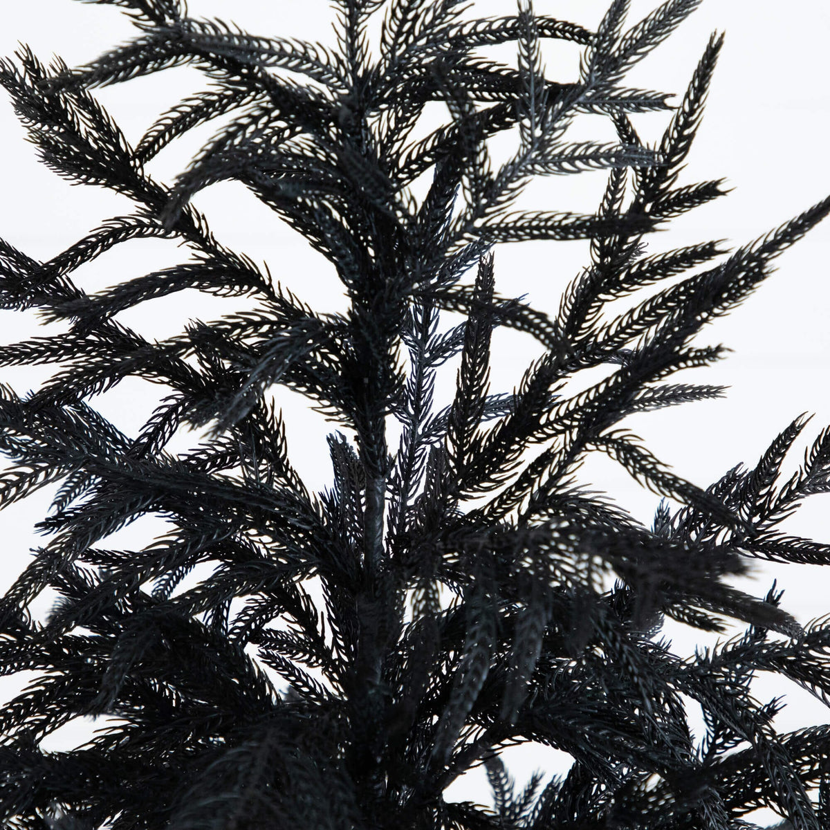 5' Artificial Halloween Real Touch Black Norfolk Pine Christmas Tree with Natural Look