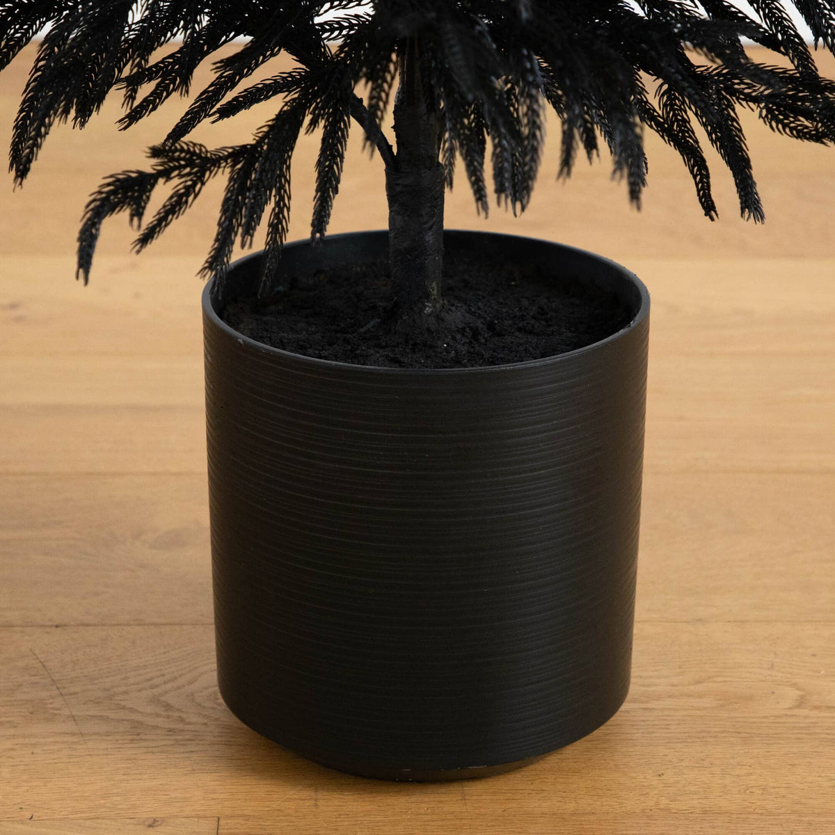 5' Artificial Halloween Real Touch Black Norfolk Pine Christmas Tree with Natural Look