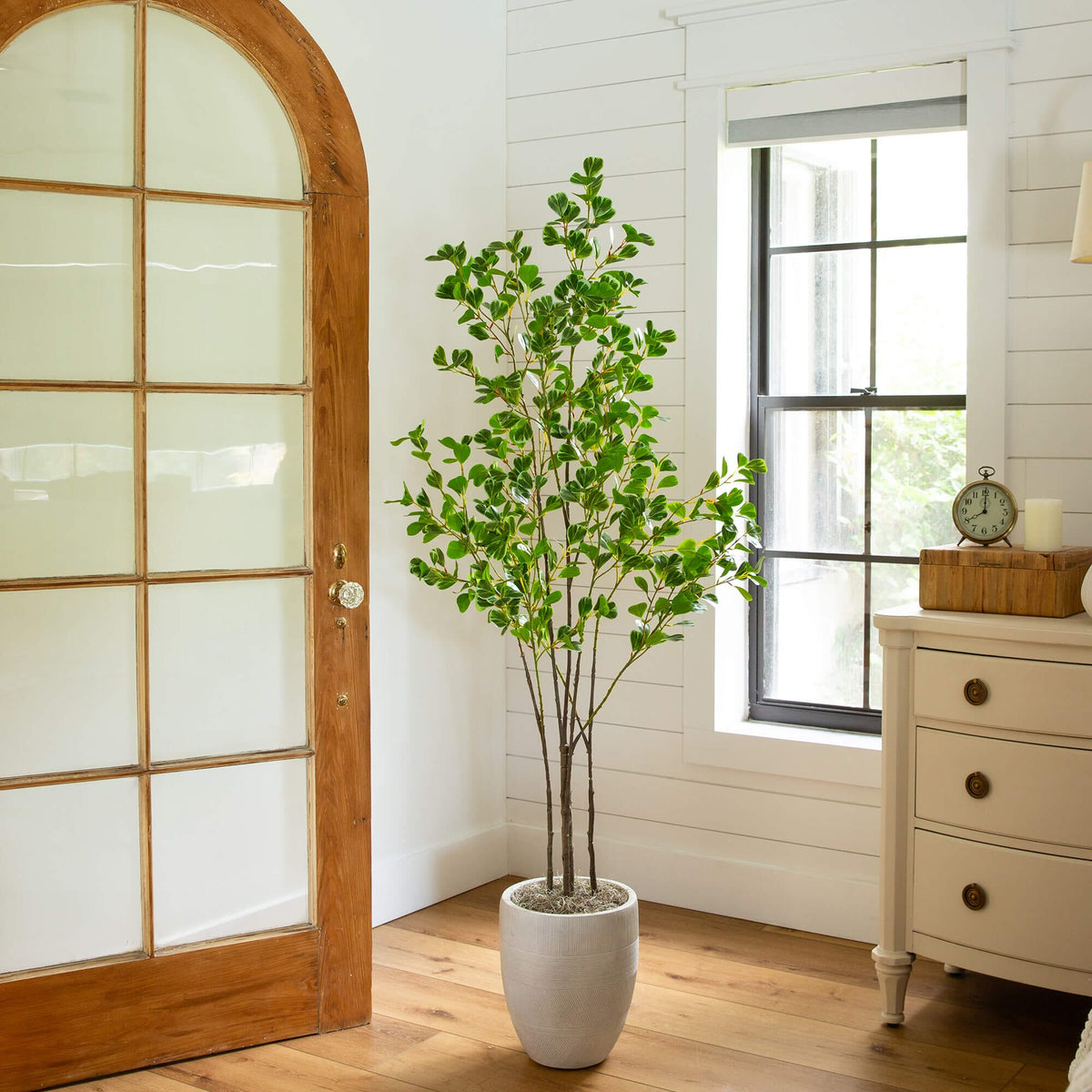 5' Artificial Heart Shaped Ficus Leaf Tree