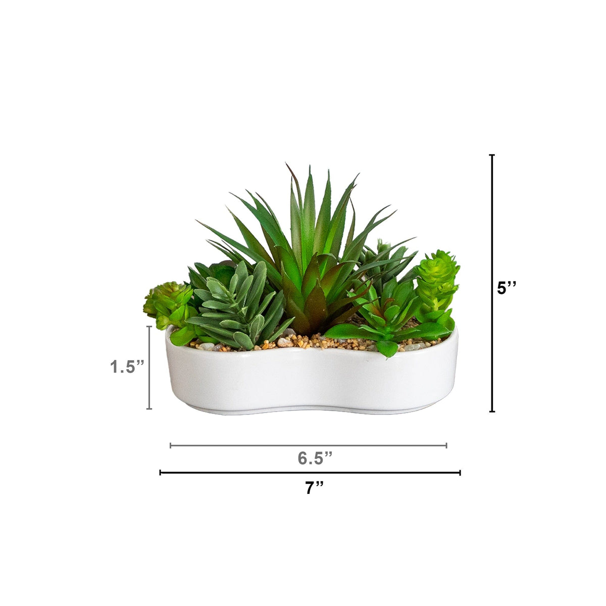 5" Artificial Succulent Garden in Ceramic White Planter -Set of 2