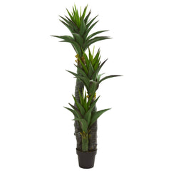 5’ Decorative Yucca Artificial Tree in Black Planter - Ornate Home